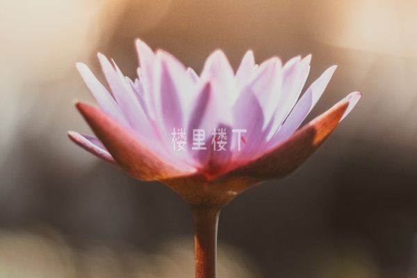 截圖13.jpg