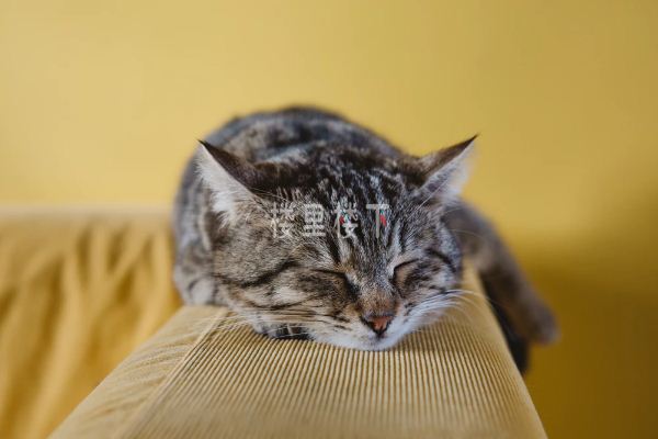 截圖44.jpg
